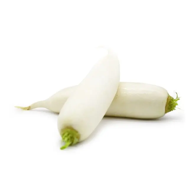 Best-selling Direct Commercial wholesaler of refreshing white radish