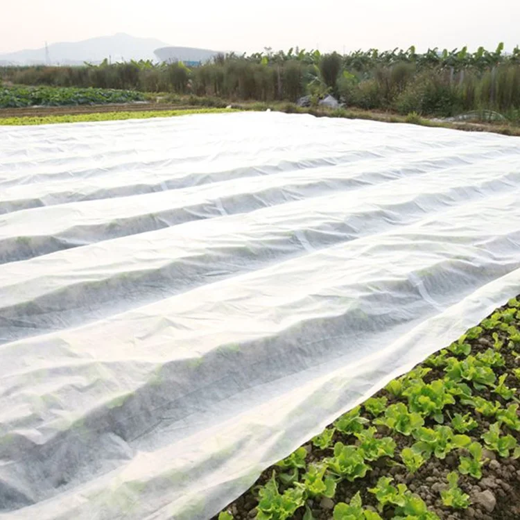 PP agricultural nonwoven fabric pp non woven roll crop row cover cheap price