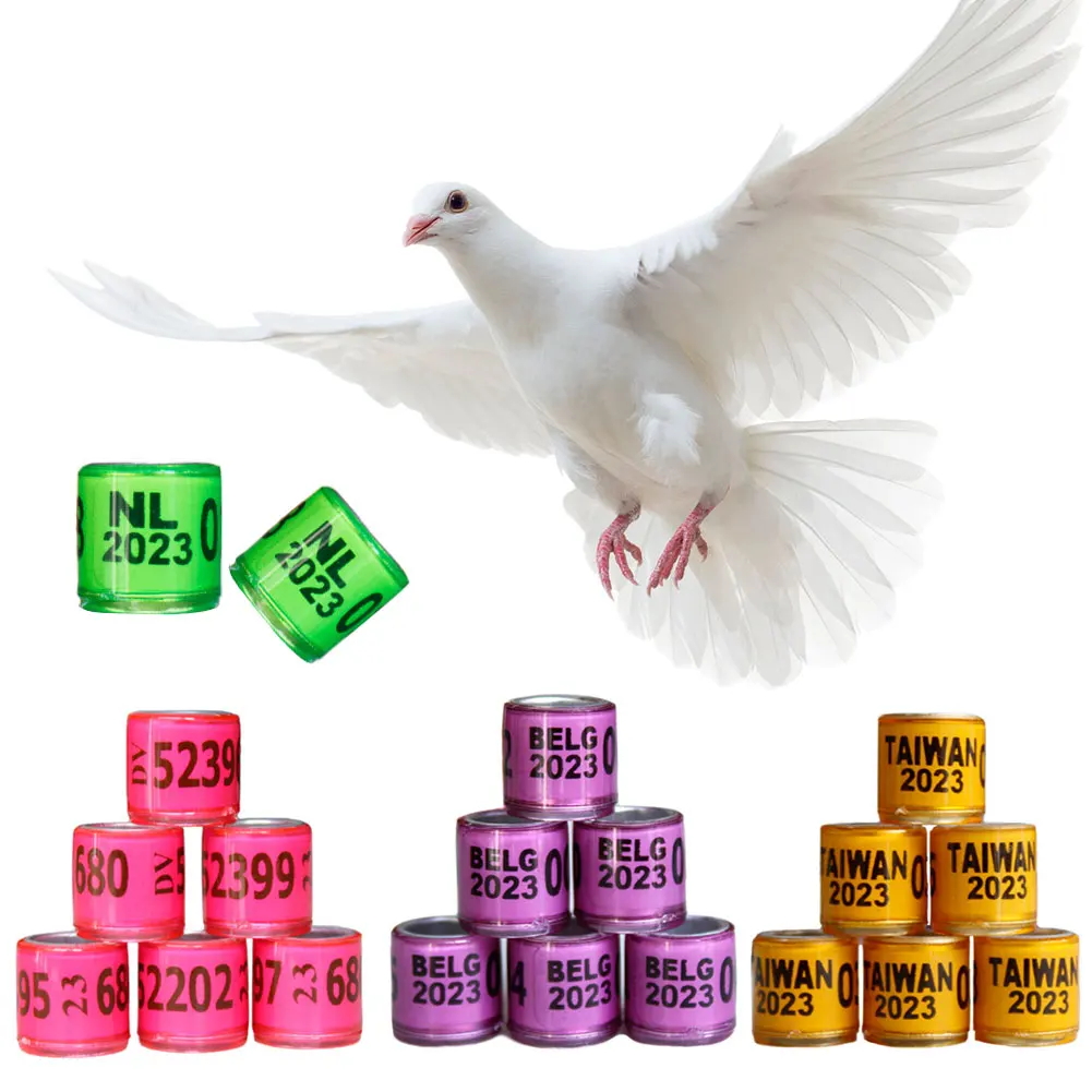 2023 Multicolor Pigeon Foot Ring With Word Earrings Quality Durable Bird Ring Racing Pigeon Foot Ring Bird Tools