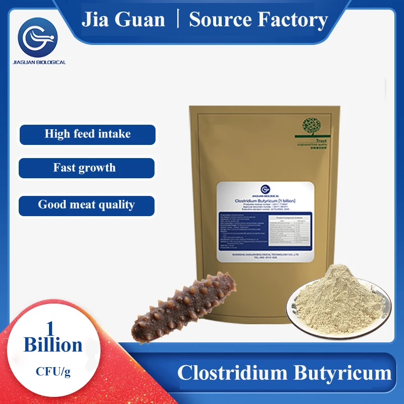 Hot Sale Supply Clostridium Butyricum Promote Health  Phytogenic Feed Additives Probiotic Powder Premix for Fish Sea Cucumber