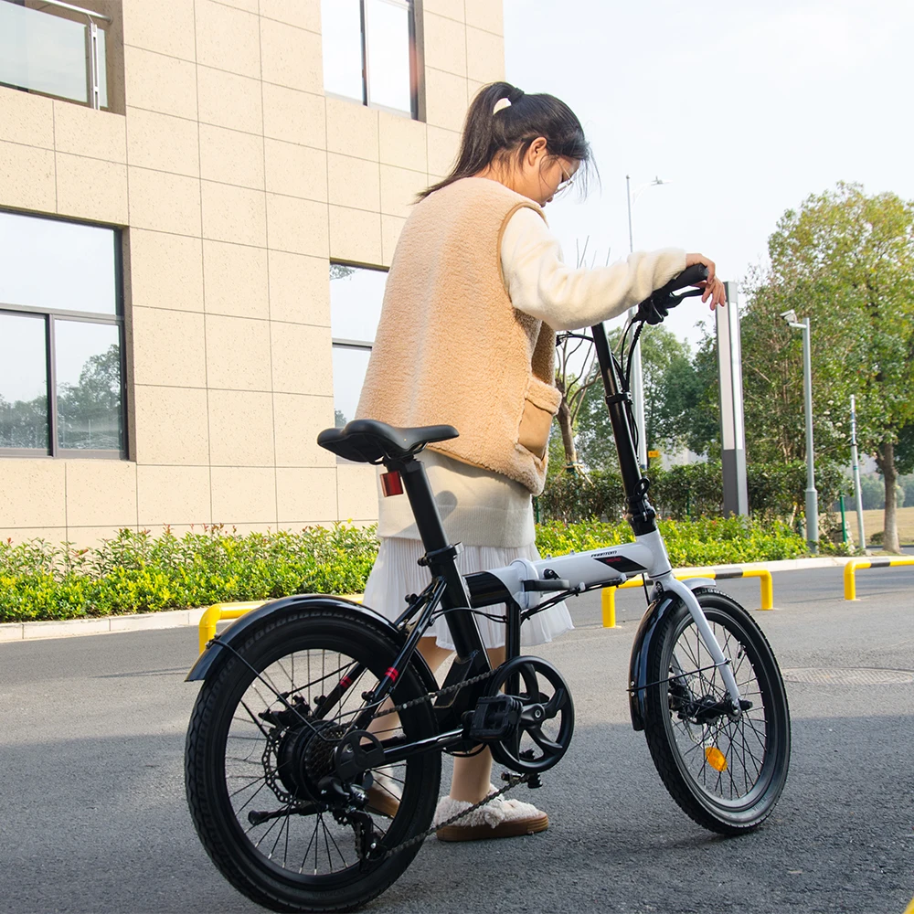 Portable 350W Electric Bicycle Motor Hot Sell 20 Inch Electric Bike Folding Electronic Lithium Battery Rear Hub Motor Brushless