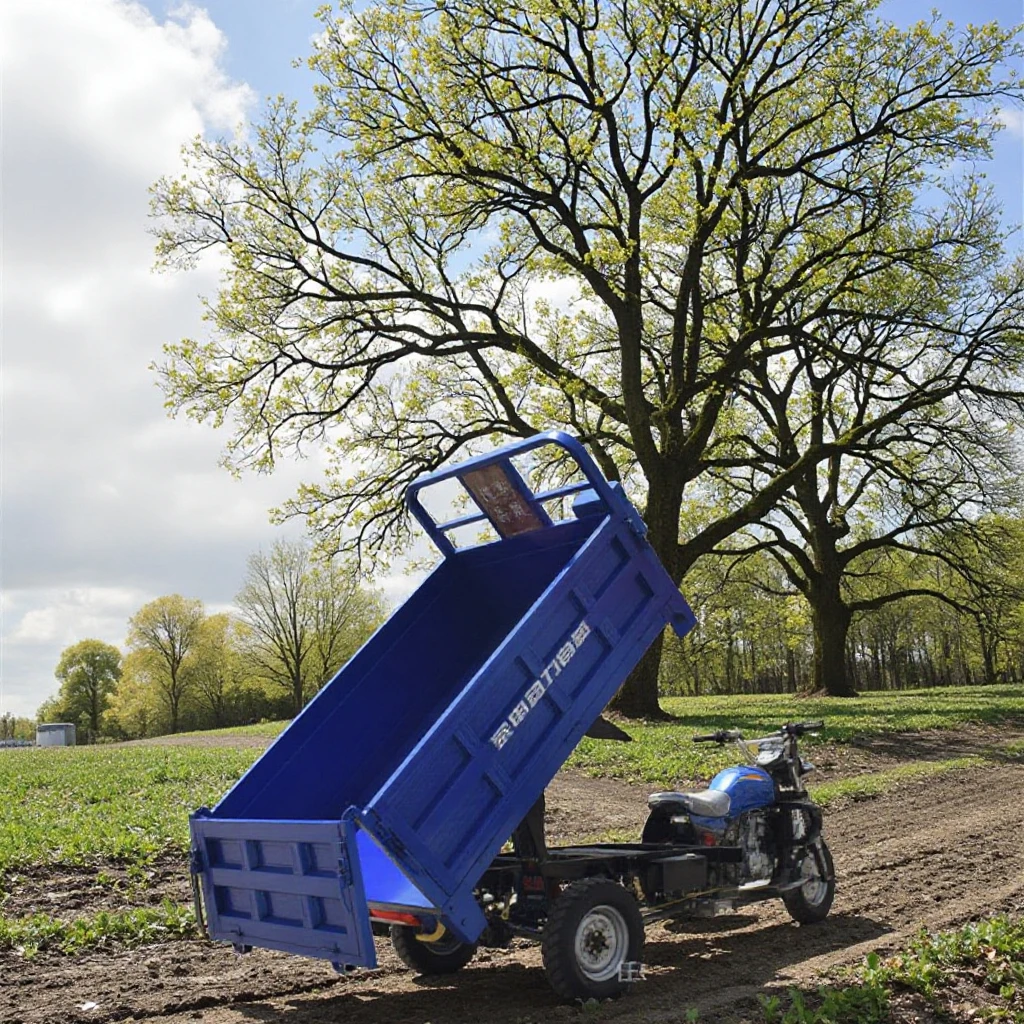 Bogist G125 Household and Agricultural Use 3-Wheeled Cargo Motorcycle, Zongshen Water-Cooled Gasoline Tricycle Vehicle - ecarcc official