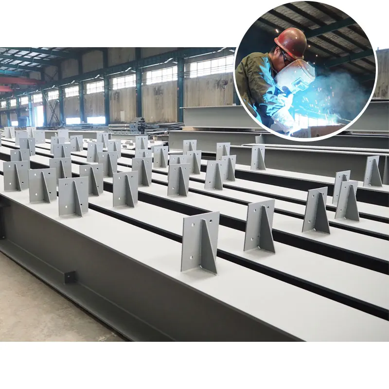 Lonte Poultry shed chicken farm building house for 10000 chickens, Broilers steel structure building