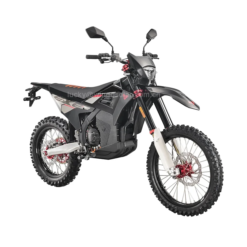 Electric Dirt Bike Racing Motocross High Speed E Motorcycle  Arctic Leopard Cheetah EXE880 37KW 90V75AH