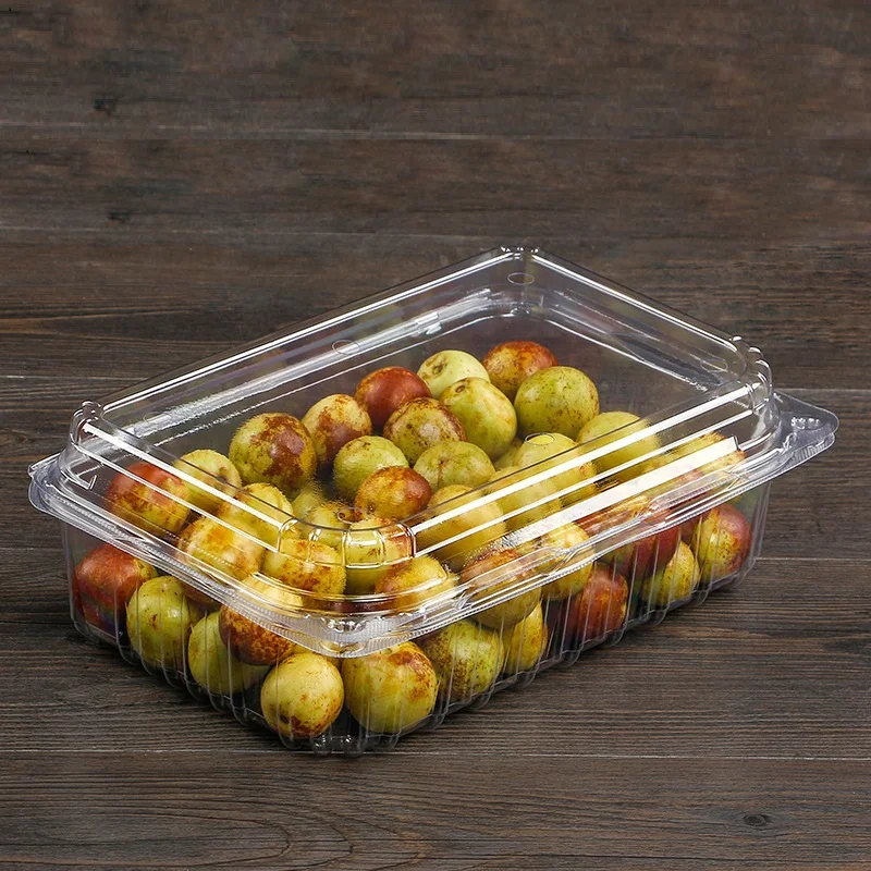 Disposable Clear Plastic PET Food Tray with 4 Compartments and Embossed Square Blister Lid for Cake Storage Fruit Box Packaging