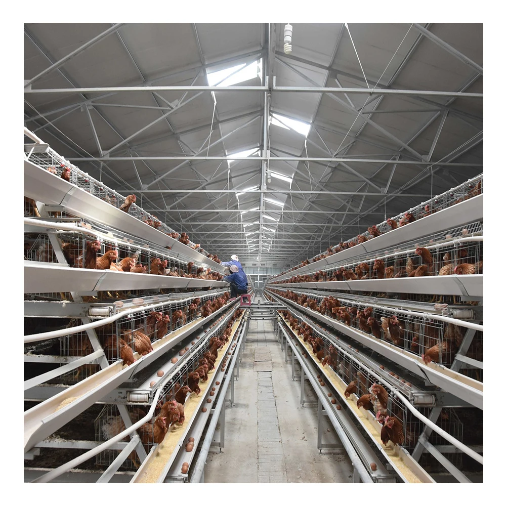 Layer Chicken Cage House Poultry Equipment for Laying Hens Farming Animal Cages