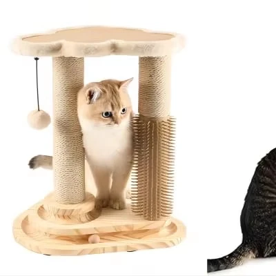 Sustainable Wood Cat Scratching Post with Trackball & Hair Brush Interactive Indoor Cat Self-Groomer & Toys