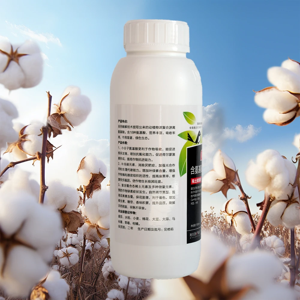 Plant and Seaweed Origin Liquid Amino Acid Fertilizer Organic and Humic Acid Compost Slow Release for Agriculture Crop Care