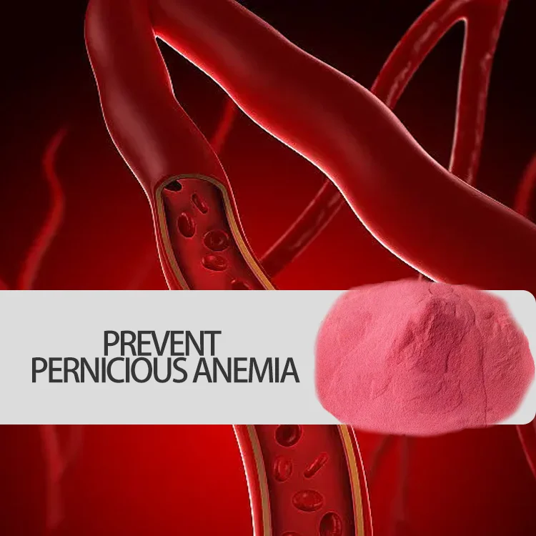 factory manufacturers supply best quality gummies powder bulk 25kg energy drinks vegan vitamin b12 patch