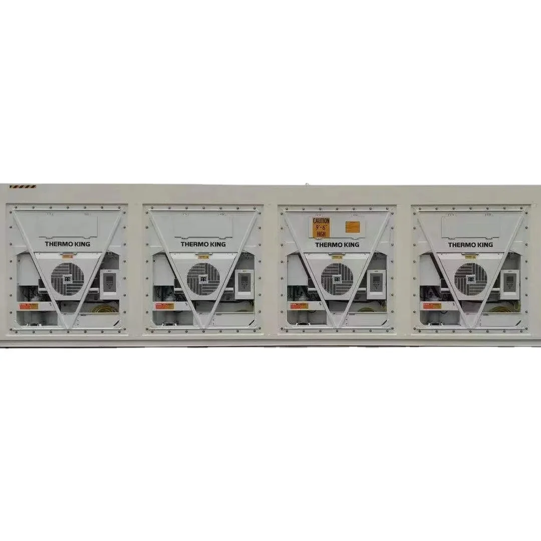 12M Length Open Side Door 20ft 40 ft Refrigerated Reefer Container  with 2 Door shipping container