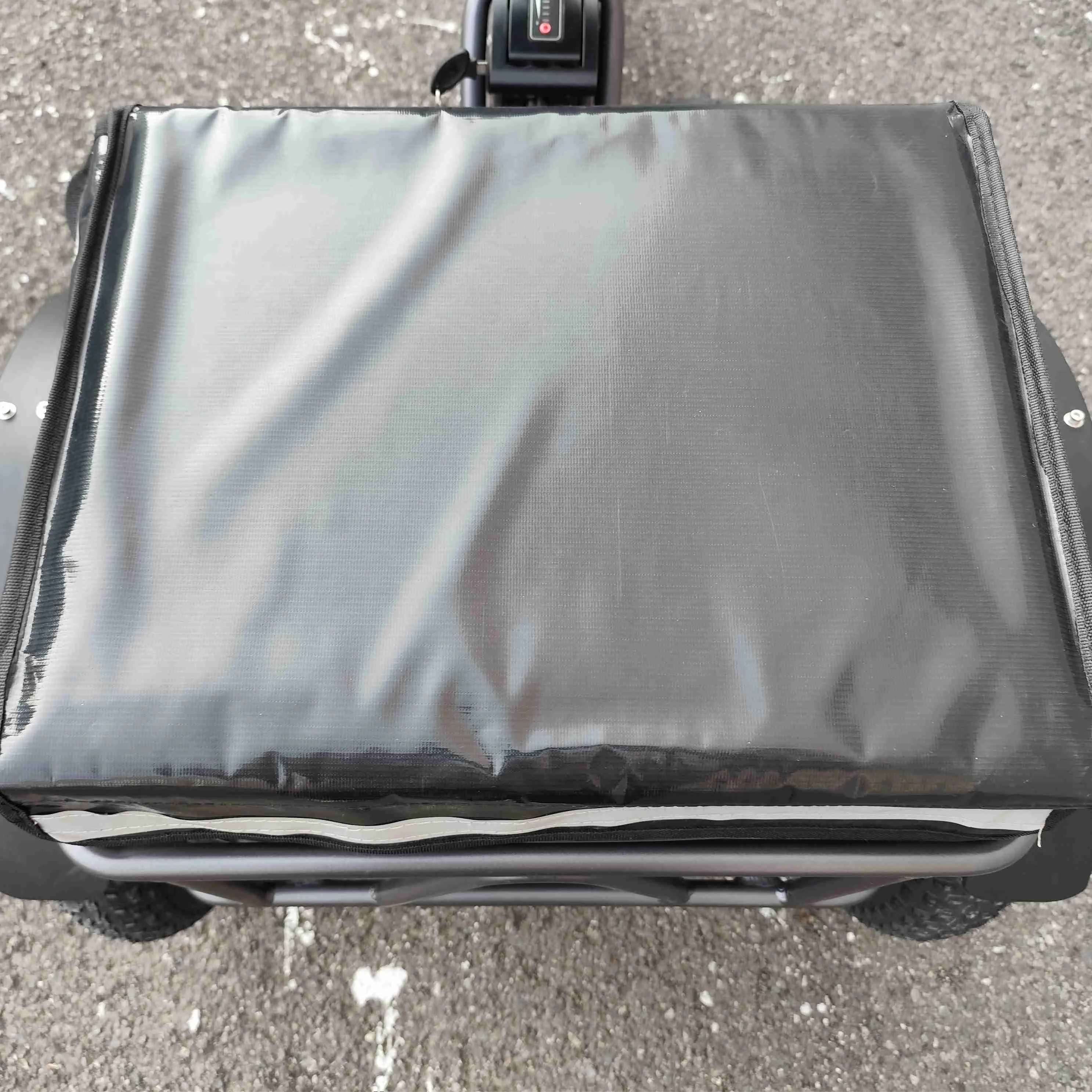 Customized And Comfortable 48V1000W Electric Tri E Tri cycle Tricycle Electric Bike Motorized Tricycles