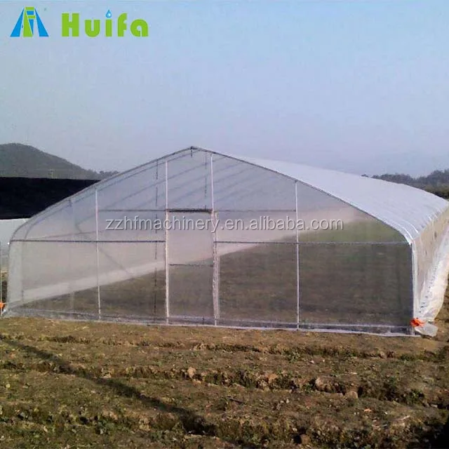 High Strength Agricultural Poly Tunnel Green Customize PE Film Large Planters Sides Ventilation with Roll up Machine 8m 3.3(M)