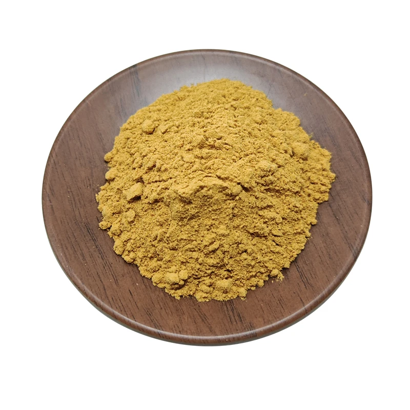 Plant extract phellinus linteus extract sang huang mushroom extract Phellinus linteum powder