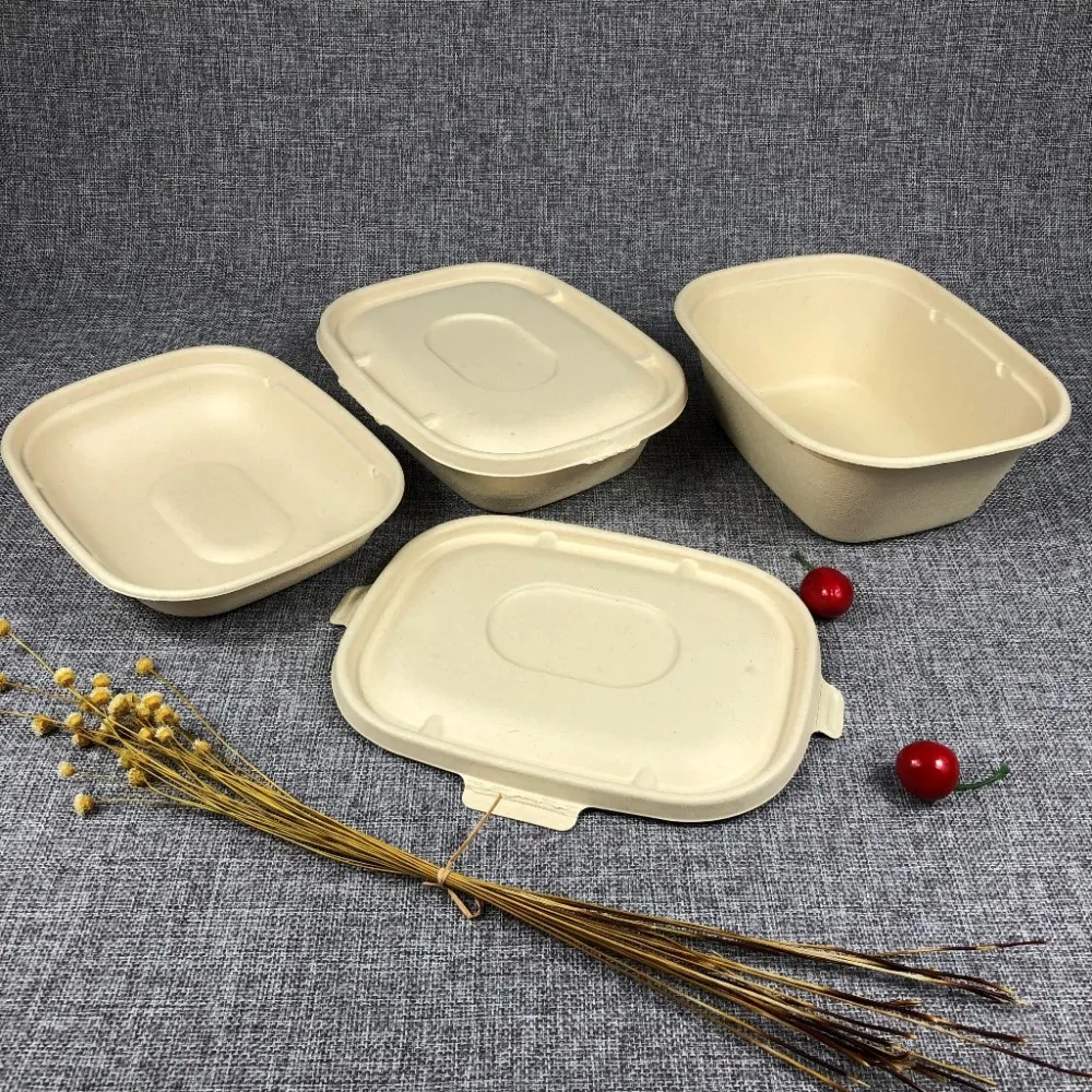 A01 Promotion 15%off biodegradable sugarcane bagasse food container compostable lunch box packaging tableware package