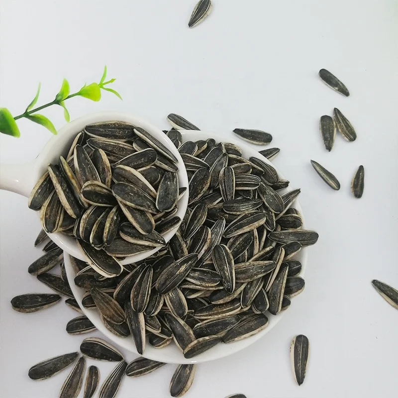 Sunflower Seeds Bulk Sunflower Seeds Price of Sunflower Black Seeds