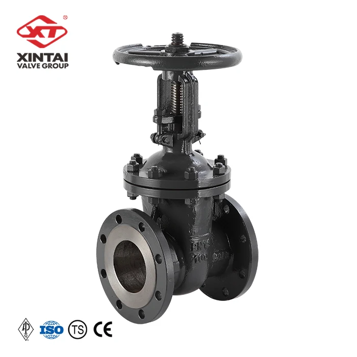  High-quality products GOST Gate valve Z41H-16C Reduced diameter