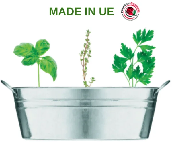 Best Selling eco friendly gadgets Zinc pot with 3 different seeds parsley thyme and basil
