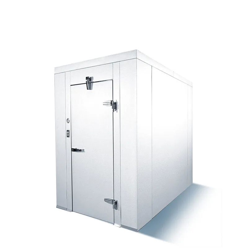 new design solar powered refrigeration preservation cold room commercial mini blast freezer