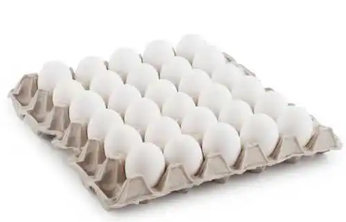 Factory Wholesale 30 Cells Paper Pulp Egg Tray 30 holes Eco-friendly pulp egg cartons recyclable paper eggs box biodegradable