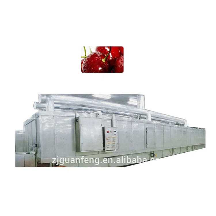 Professional Tunnel Quick Freezing Fluidized IQF Freezers Freezing Frozen Food Machine