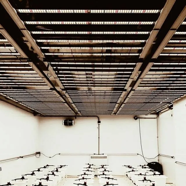 hydroponic 720w led grow light horticulture for indoor cultivation hydroponic growing systems