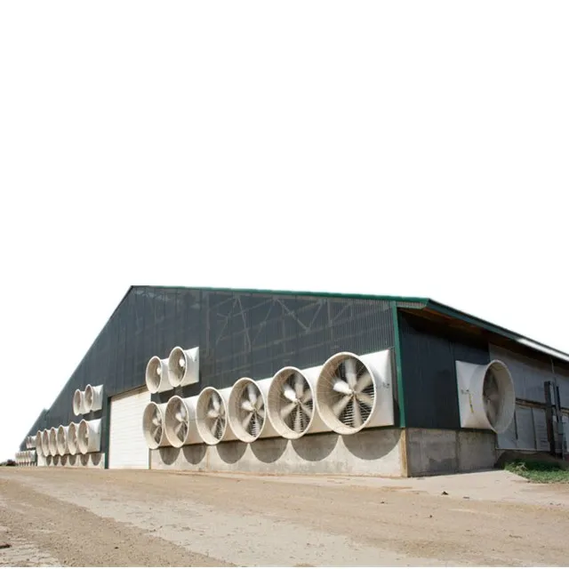 Полностью автоматическое оборудование для Курятников куры птицефабрика