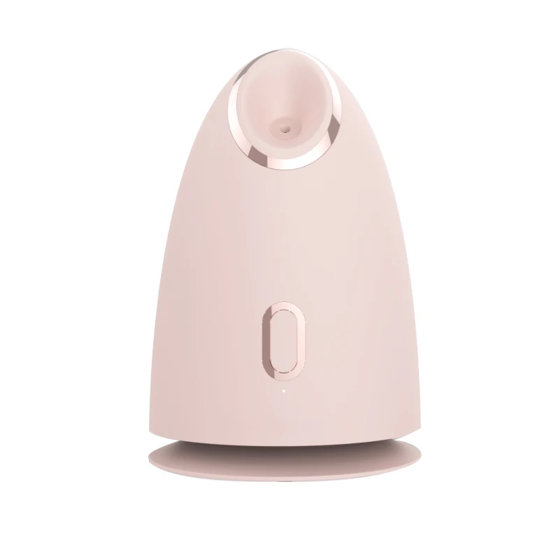 compact and light Warm steaming and fine mist nano Mini Portable Face Steamer