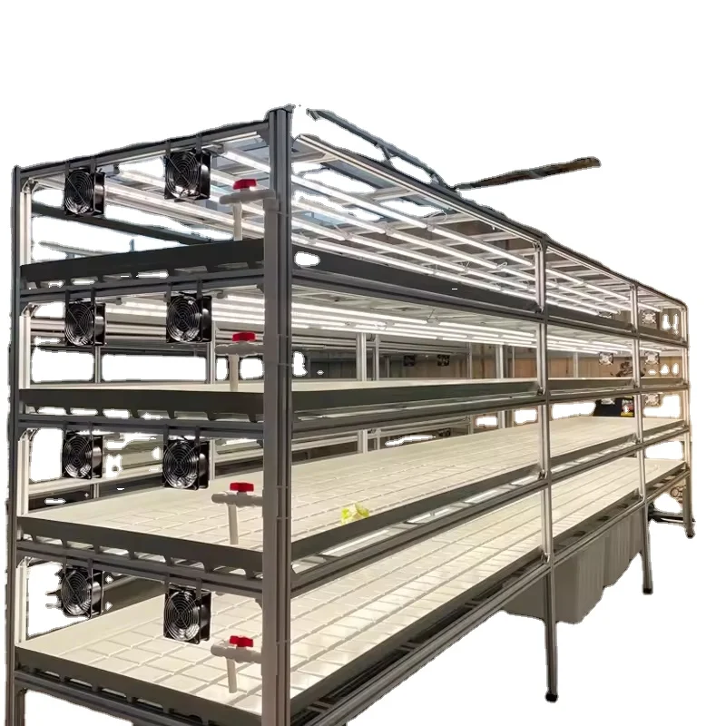 Customization Agriculture hydroponic grow rack vertical indoor farming for planting lettuce