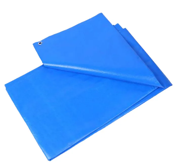 tarpaulin sheet 6 x 8 m for sun drying maize  4x5 size and so on