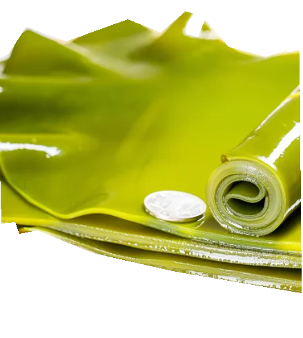 wholesale Konbu Dried Seaweed kelp wakame preserved vegetables