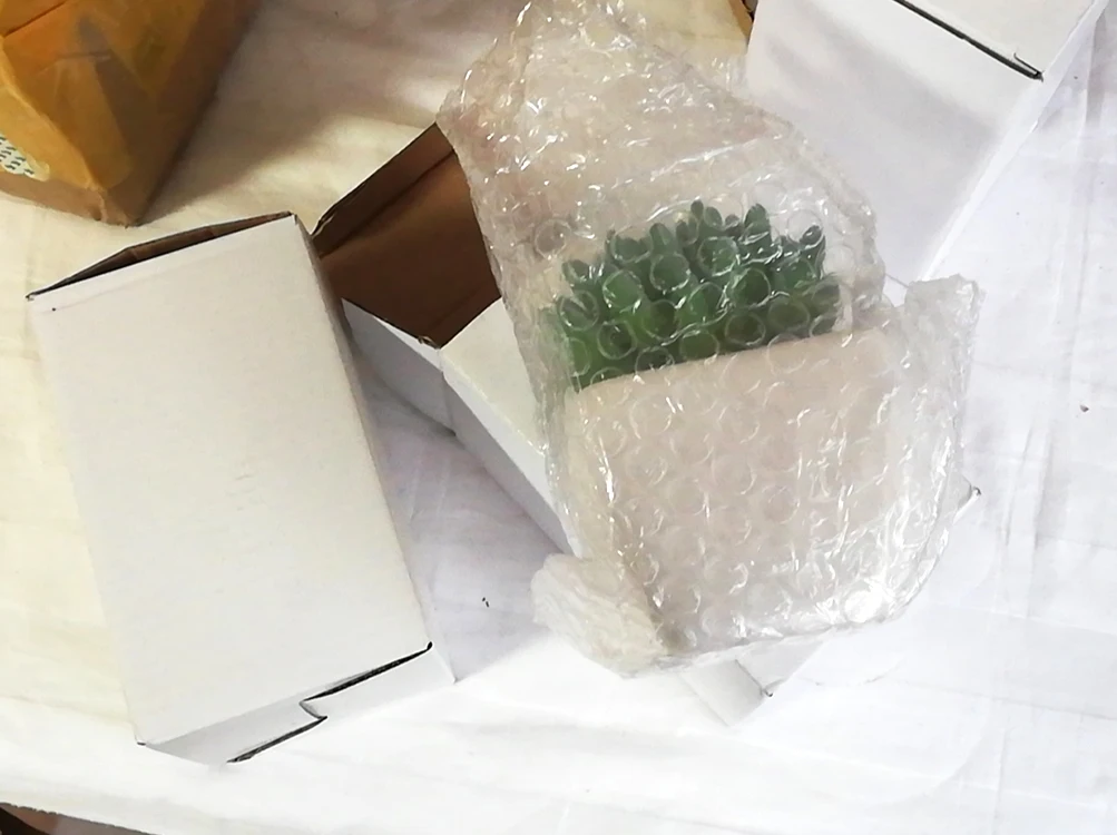 Mini Natural Real Decorative Artificial Succulent Plants