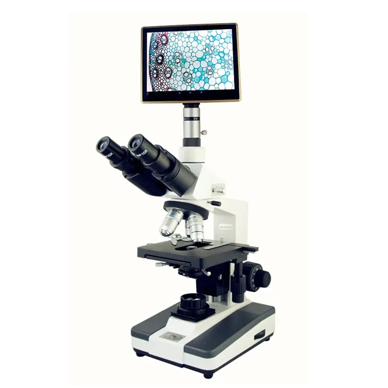 Polarizing microscope BM-60XCP (tablet computer  Transreflection)