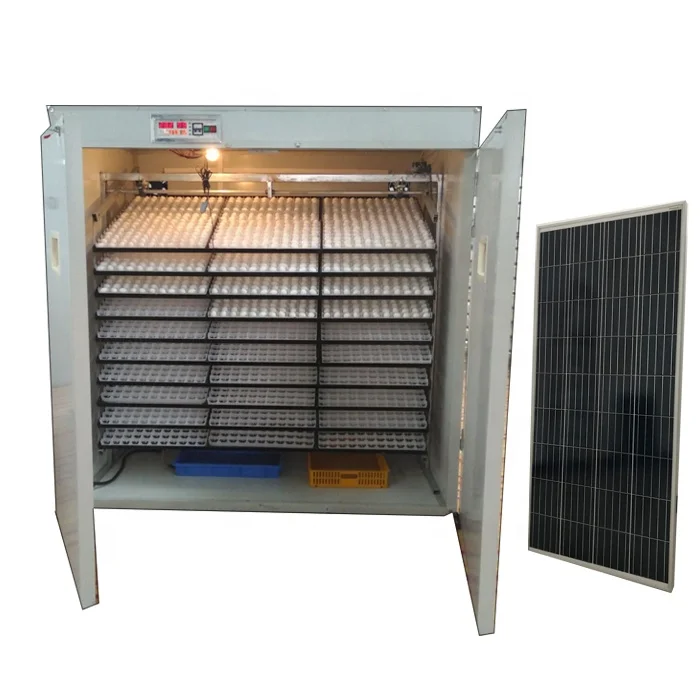 Fully Automatic Solar Egg Incubator 5000 Eggs Hatching Machine Small Chicken Egg Incubators In Ethiopia