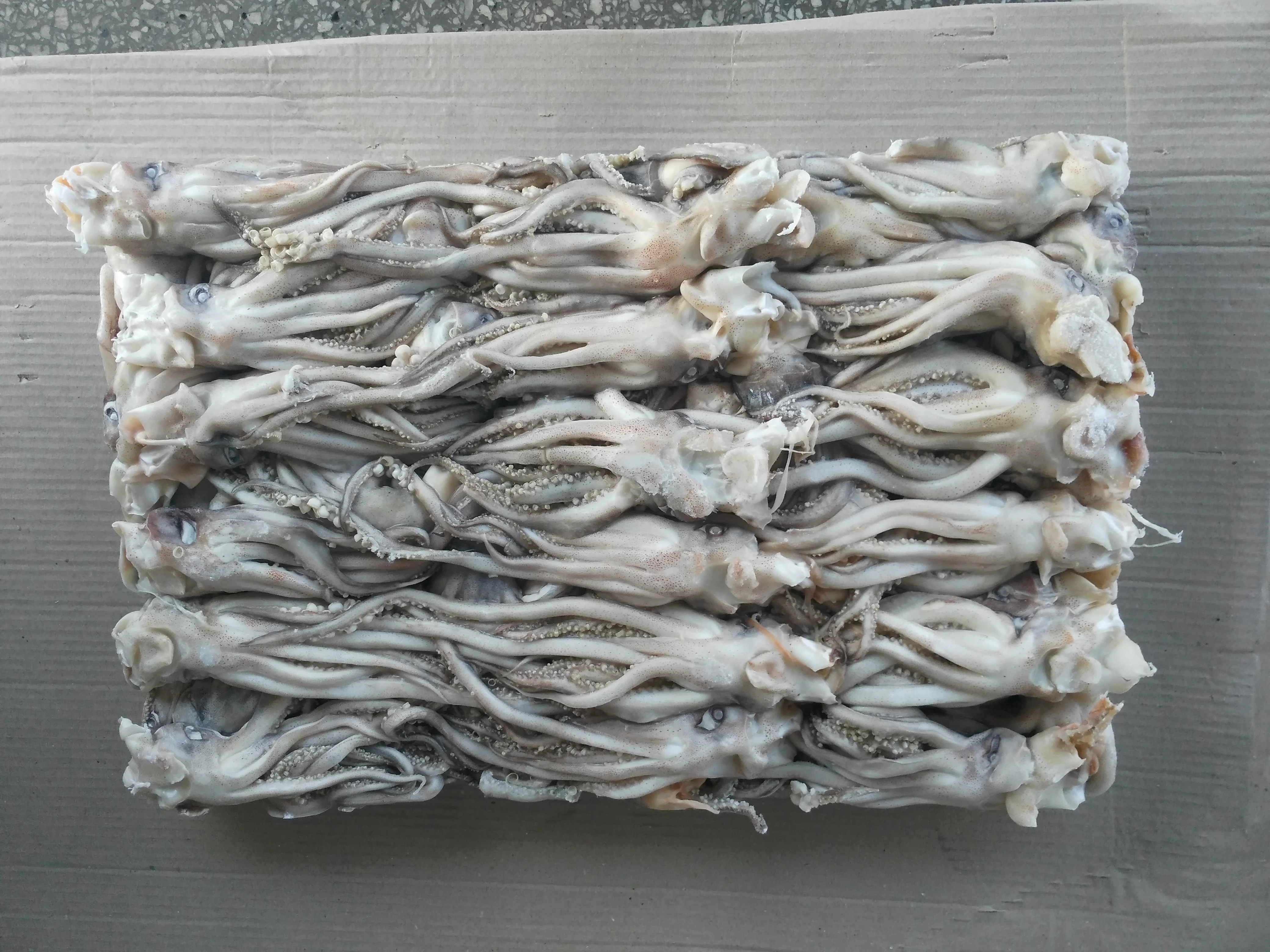 frozen and iqf fresh dried squid(tentacle)