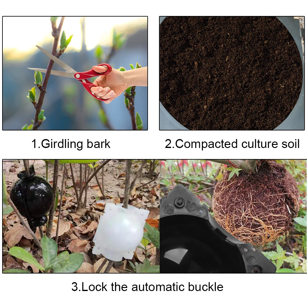 Plant rooting box reusable plant rooting device to assist cutting pressure spreading ball