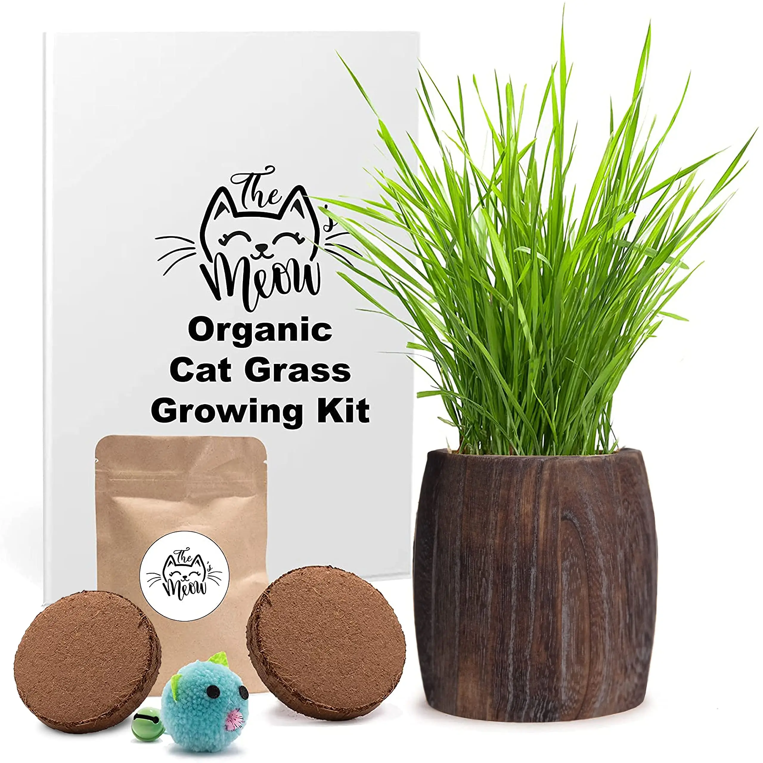 Organic Cat Grass Soil And  Cat Grass Growing Kit Disposable  Toy Gift To Cats