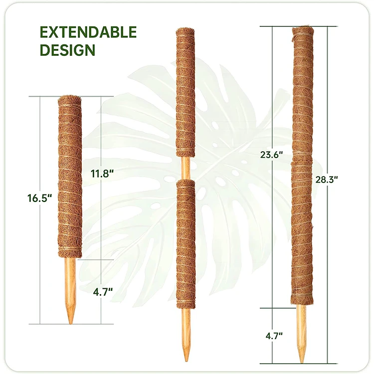 Natural 24 Inch Stakes Totem Forest Sphagnum  Plant Moss Poles for Climbing Plants Support