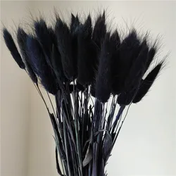 One bundle of 55 branches  Dried bunny tails Home decoration  Dried flower bouquet  Dried Lagurus Ovatus  plants flower