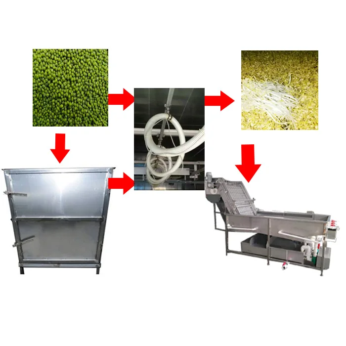 bean sprout breeding germination growding machine equipment price with best quality production line baskets pot 220v