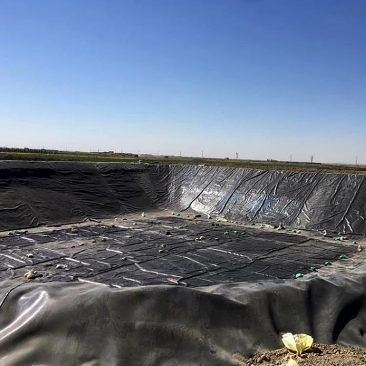 Большой пластиковый вкладыш пруда hdpe геомембраны 1 мм лист