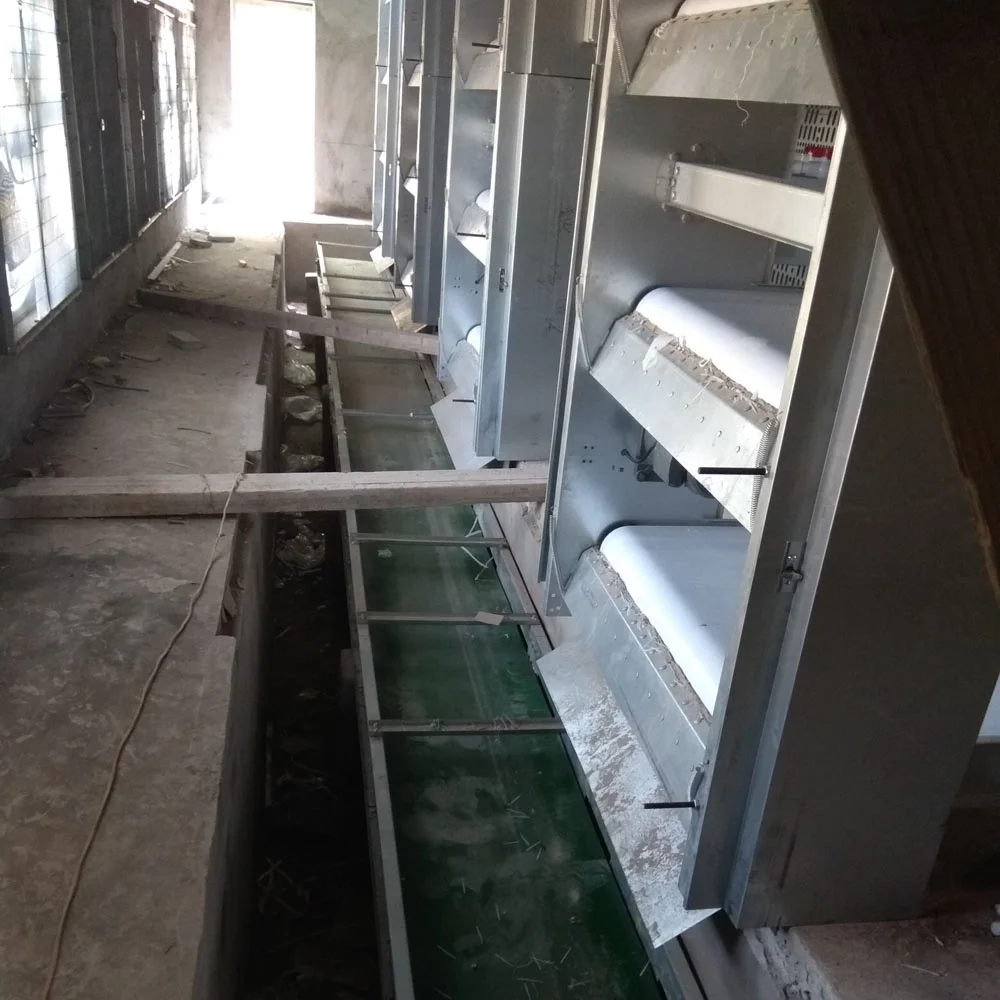 manure conveyor belt for poultry farm dung cleaning