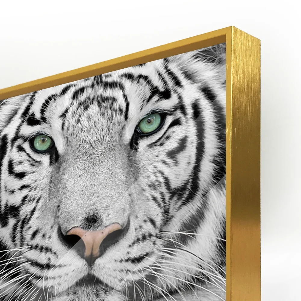 Hot Sales Crystal Clear Animal Black&White Tiger Acrylic Wall Art Prints Canvas Art Work Acrylic Painting Oil Painting for House