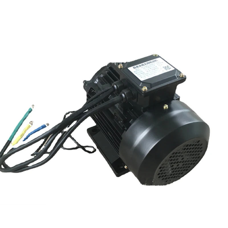Custom made wholesale 24v 48v brushless motor with controller
