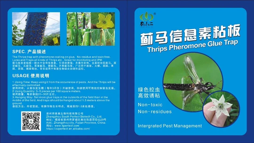 Thrips Pheromone Glue Board Paper material 21.5x38.5cm waterproof for different kinds of thrips
