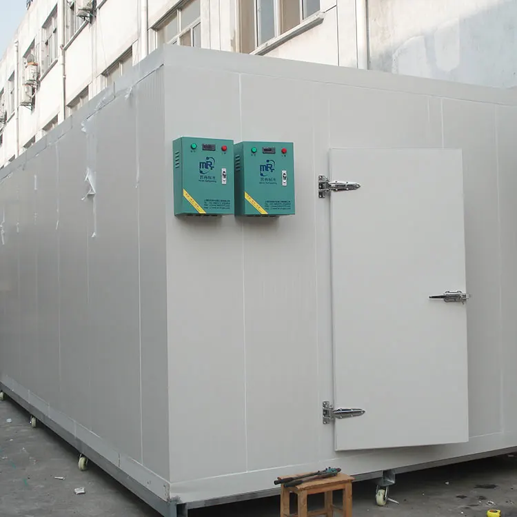 Китайская Фабрика bitzer конденсационный Блок 40 футов контейнеры холодной комнате с лампой