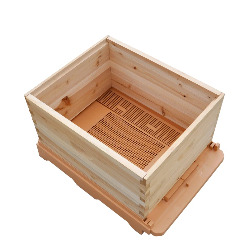 
New lanching beekeeping equipment honey flowing plastic bee hive 