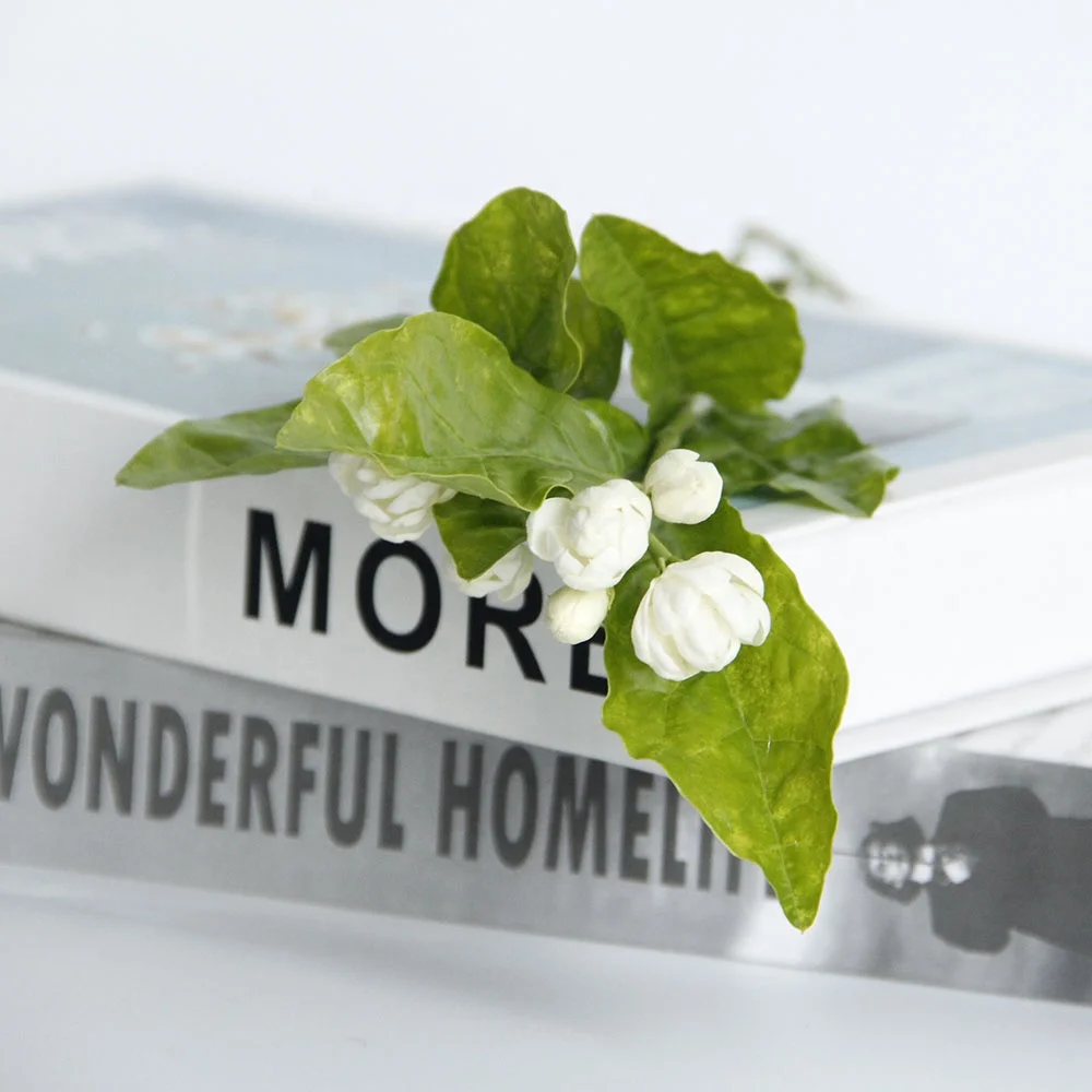 Competitive Price High Quality Jasmine Fresh Cut Flower For Home Wedding Decoration From China