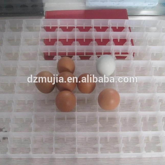 
Egg incubator spare parts 221 quail egg tray for sale 