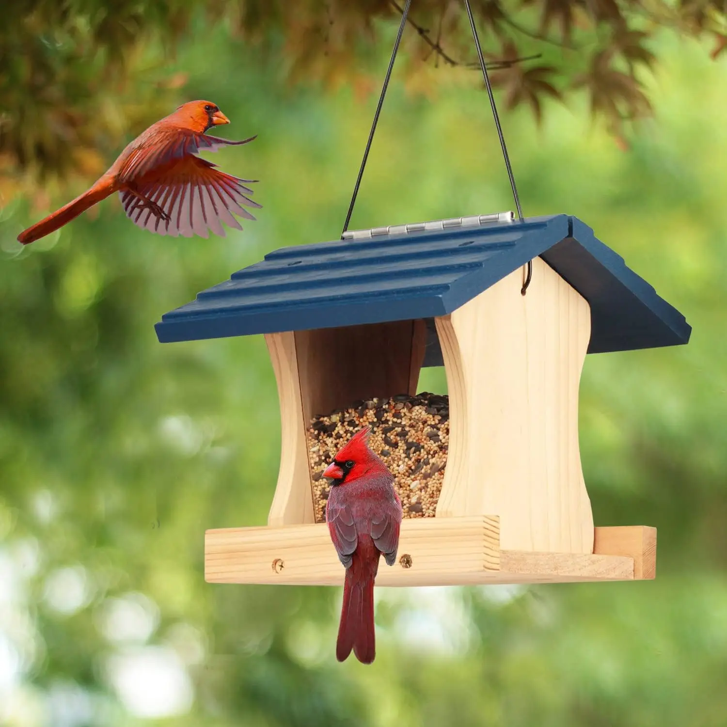 Western Red Cedar Ranch DIY Bird Feeder Kit for Kids to Build - Wood Birdhouse Building Kits with Hanging Rope, Paints