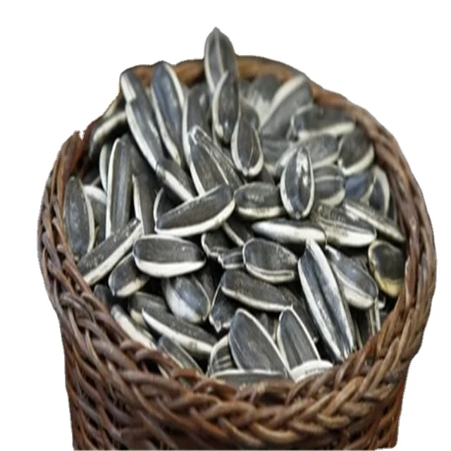 Sunflower seeds premium quality big size 180-190 per 50 g cheap price with HACCP ISO